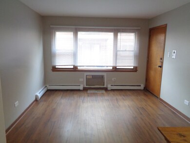 10533 Parkside Ave unit 2, Palos Heights, IL 60463 - photo 2