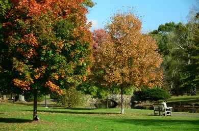 Binney Park_Fall_0014