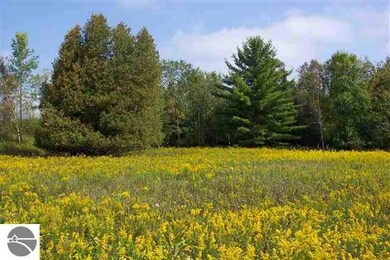 0 Valley Rd, West Branch, MI 48661 - photo 3