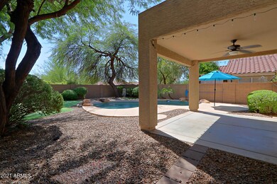 Backyard 2