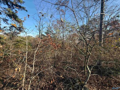 lot#0 County Road 70, Leesburg, AL 35983 - photo 3