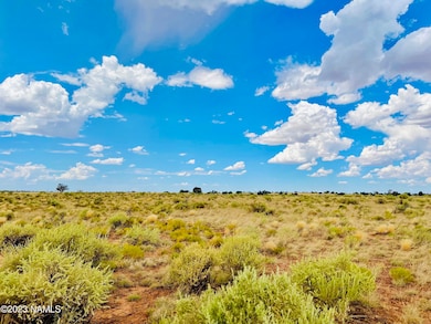 626 N Laguna Dr unit Lot 2, Valle, AZ 86046 - photo 4