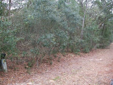 1870 E Bismark St, Hernando, FL 34442 - photo 6