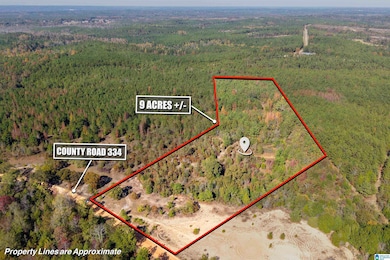 0 County Road 101, Plantersville, AL 36758 - photo 4