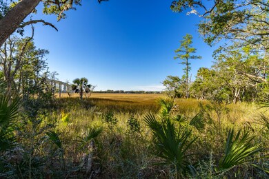 View of Marsh from backyard