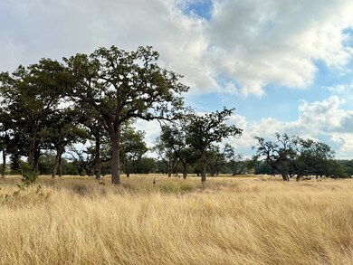 290 Stallion Dr unit 139, Harper, TX 78631 - photo 2