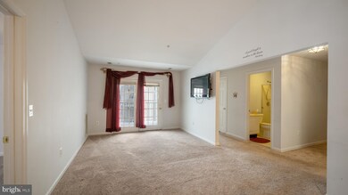 2023 Rudy Serra Dr unit 3B, Sykesville, MD 21784 - photo 7