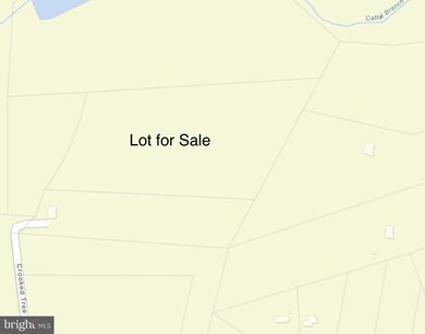 11011 Crooked Tree Ln, Spotsylvania, VA 22553 - photo 4