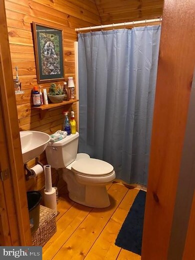 914 Old Piney Rd, Jim Thorpe, PA 18229 - photo 6