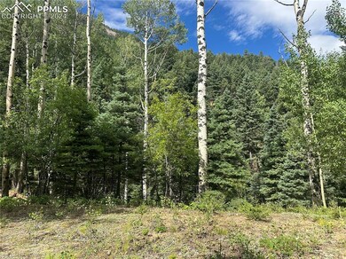 Mountain View with beautiful aspens surrounding th