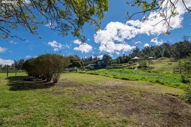 594 Hapapa Rd, Kula, HI 96790 - photo 2