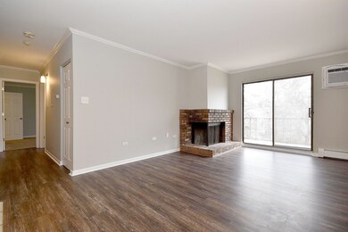 1674 Ishnala Dr unit 202, Naperville, IL 60565 - photo 6