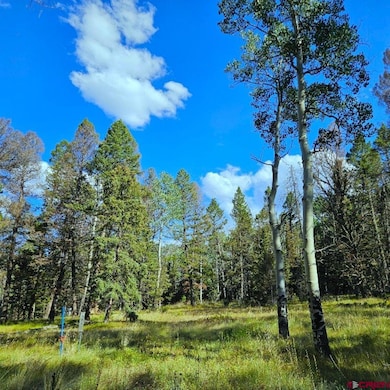 282 Aspen Trail, Cimarron, CO 81220 - photo 5