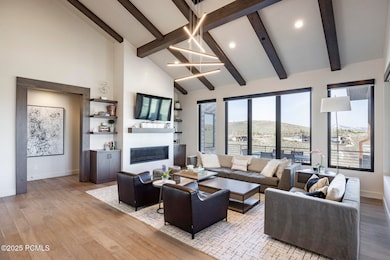 002_6633_golden_bear_loop007_498