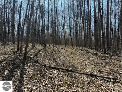 0 Ticino Dr unit 353 1932968, Reed City, MI 49677 - photo 2