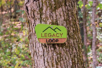 1526 Hammock St, Huntsville, AL 35811 - photo 7