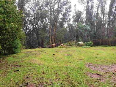 1685 Piiholo Rd, Makawao, HI 96768 - photo 5