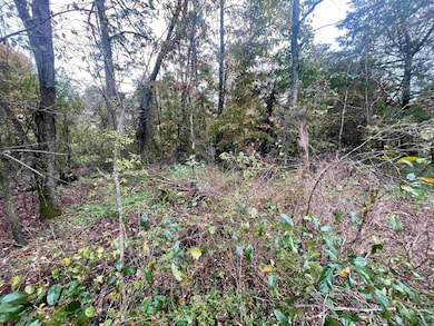 000 Prim Rd, Prim, AR 72130 - photo 4