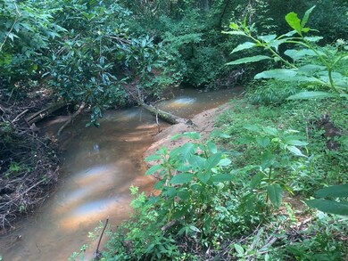 219 State Road S-42-1795, Inman, SC 29349 - photo 5