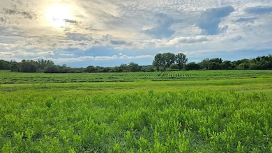 254th and Archer Rd, Lawrence, KS 66044 - photo 4