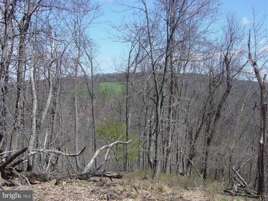 6 Mountain Run Rd, Moorefield, WV 26836 - photo 6