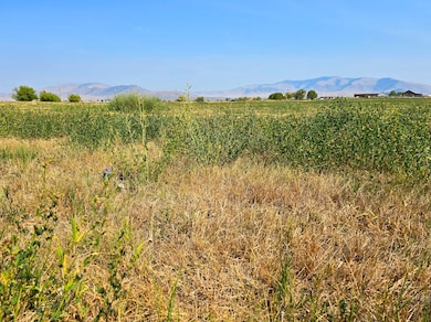 Tract 1B of COS 3917 Ekblad Rd, Hot Springs, MT 59845 - photo 6