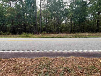 0 Marlboro Way, Bennettsville, SC 29512 - photo 7