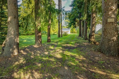 002-3-The Driveway through the Trees
