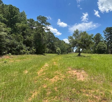 26489 Point A Isle Rd, Andalusia, AL 36421 - photo 3