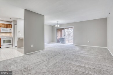 4102 Chardel Rd unit 1F, Nottingham, MD 21236 - photo 4