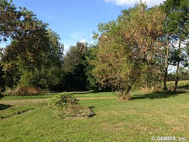 Yard Side/back yard view
