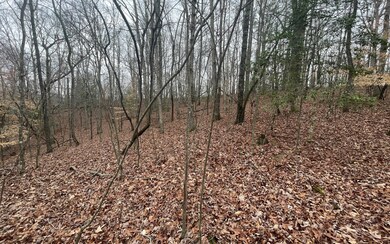 Additional View