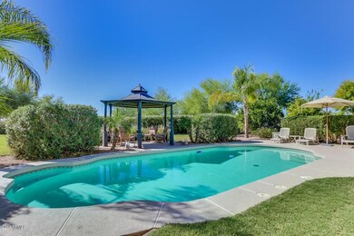 Resort Backyard
