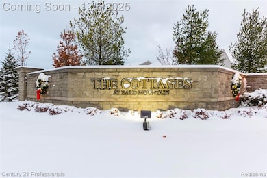 1218 Lark St, Orion Township, MI 48360 - photo 3