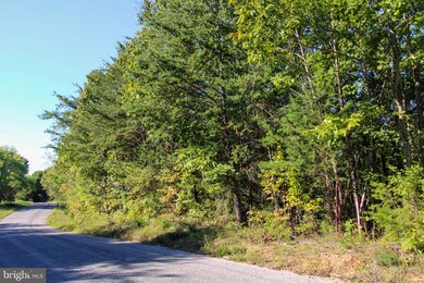 TBD Roark Mill Rd, Hurt, VA 24563 - photo 4