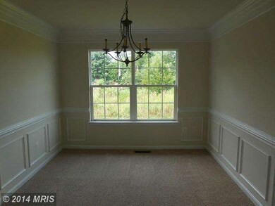 401 Caribbean Ave, Cambridge, MD 21613 - photo 4