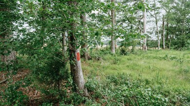 172 Lisbon Rd, SMacKover, AR 71762 - photo 7