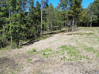 Tract1 Gunter Hollow Rd, Pulaski, TN 38478 - photo 3