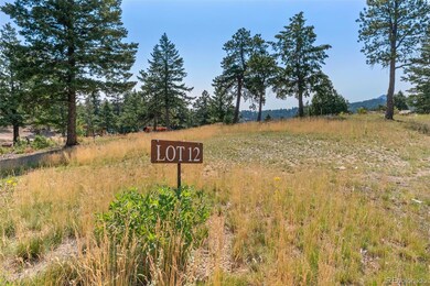 6371 Canyon Creek Rd unit 12, Evergreen, CO 80439 - photo 6