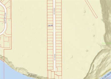 0 Claire Ln unit 1743022, Point Roberts, WA 98281 - photo 5