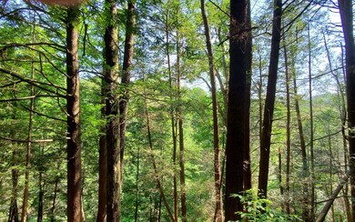 Additional View