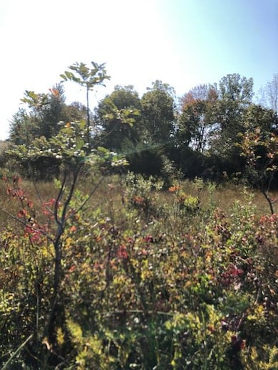 1 Pike Ln, Union, MI 49130 - photo 2