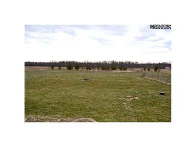 Back yard, looking to the center.