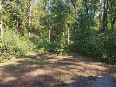 181 Renegade Rd, Crawfordville, FL 32327 - photo 4