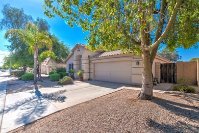Low Maintenance Landscaping