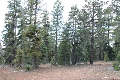 Picture of the Lot