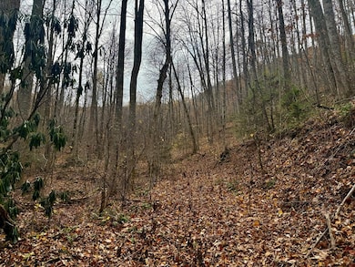 0 Henry Rd unit 26042658, Ellijay, NC 28734 - photo 4