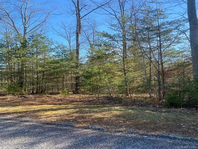 00 Fowler Rd unit 2A-2E, Mill Spring, NC 28756 - photo 3