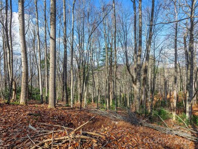 000 Indian Cave Park Rd, Hendersonville, NC 28739 - photo 5