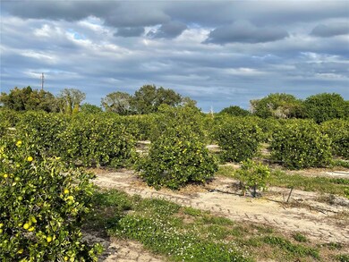 0 Lawrence Stewart Rd unit K4901875, Frostproof, FL 33843 - photo 7